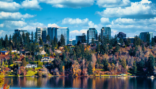 Bellevue 2