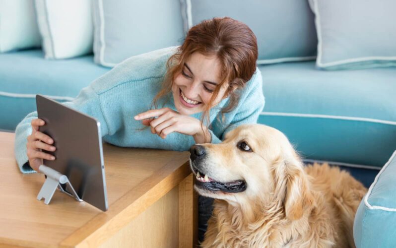 Dogdrop customer story