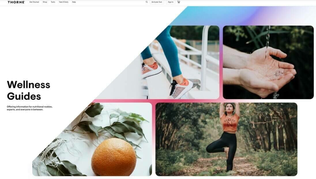 Thorne Wellness Guide