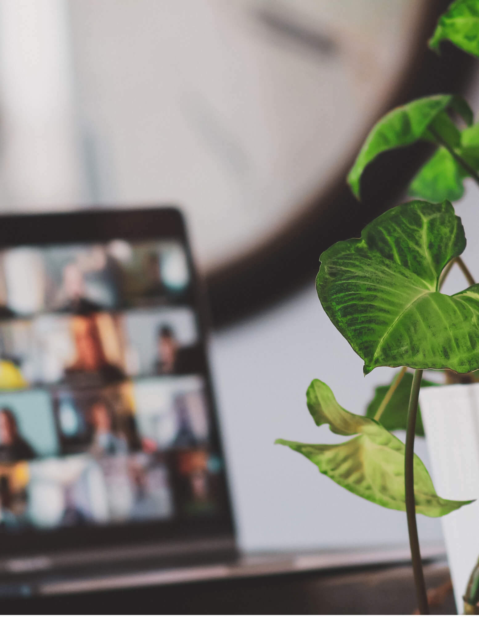 Web conferencing header