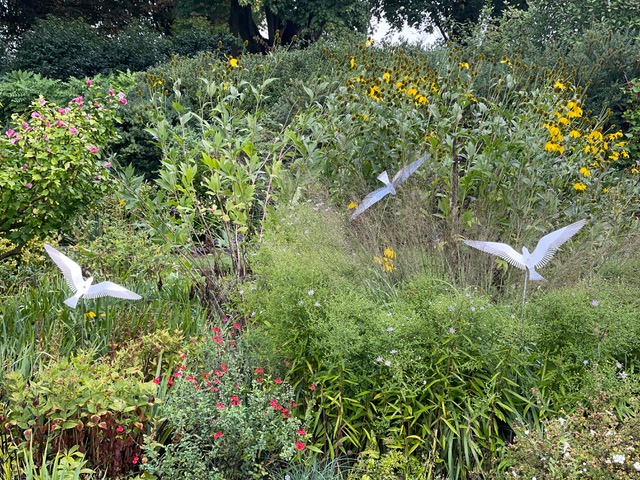 Birds on the Wing Image