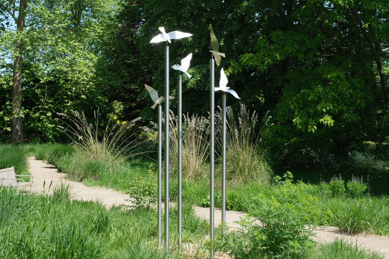 Birds Above 2025 Image