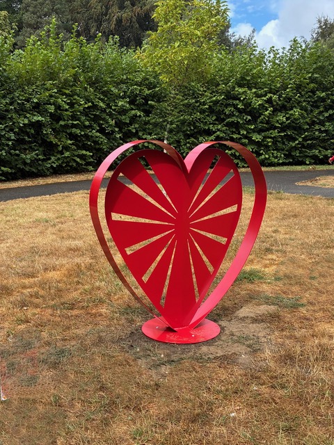 New Heart Image