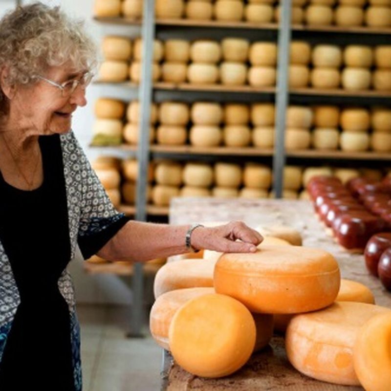 Los Toldos vende más de un millón de kilos de queso gouda por año • Diario  Democracia