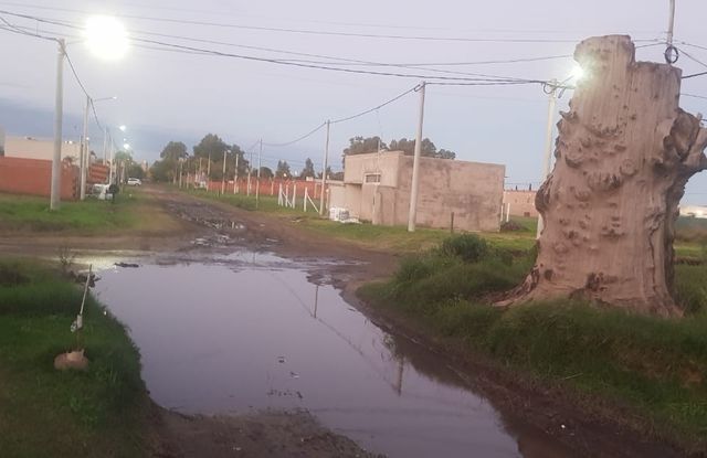 Tras reclamo de TeleJunín removieron un árbol talado
