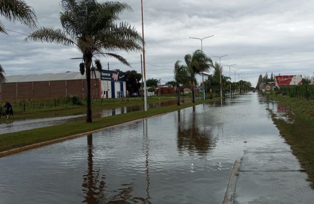 Se realizará un abordaje territorial en Chacabuco