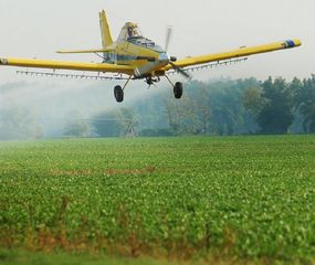 Harán un inventario de agroquímicos