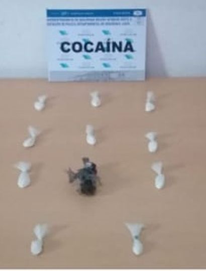 Se incautaron 16 gramos de cocaína.