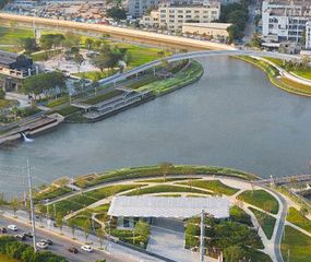 Convierten un sitio industrial en un humedal urbano