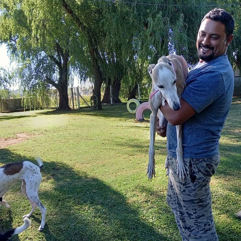 Parques Para Perros En Miami Que Tus Amigos Caninos Les Encantarán - Calle  Ocho News