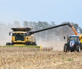 El agro genera casi el 20% de los empleos