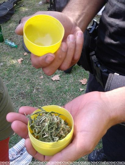 Todos los detenidos tenían marihuana en su poder.