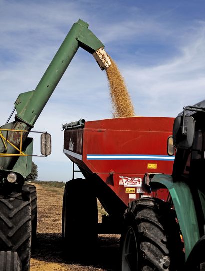 Renace la esperanza para el campo