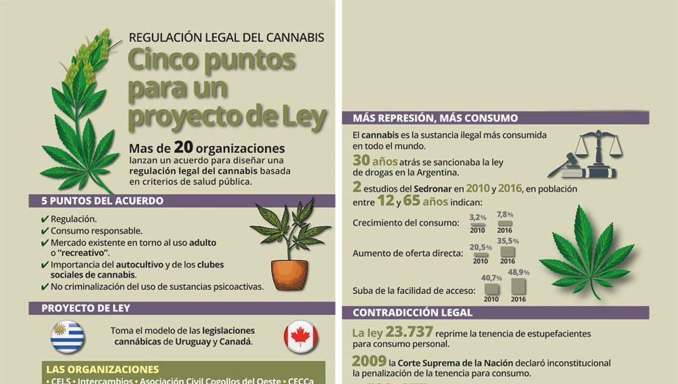 Resultado de imagen para cannabis medicinal