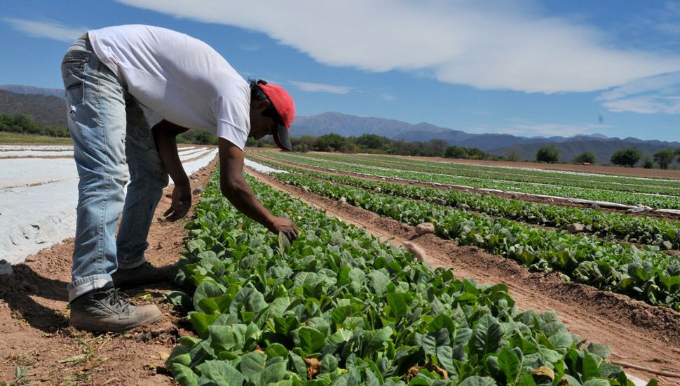 Trabajo diario con la tierra, que contribuye al progreso del país.