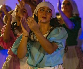 Se realizó la peña folklórica en Alberdi