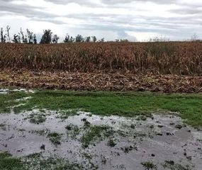 Apoyo de la Provincia a productores