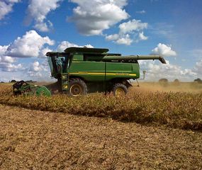 Afirman que hay un descenso en la venta  de campos por la incertidumbre política