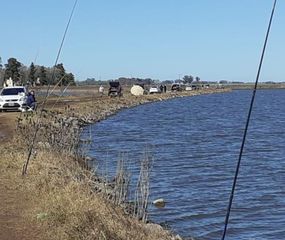 Concurso de pesca solidario
