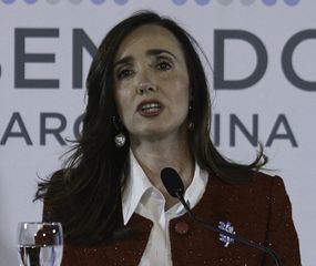 El gobierno decidió frenar ficha limpia