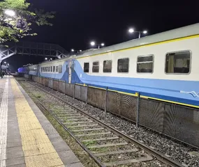 El tren Junín-Retiro alcanzó el 16 % del total nacional y disputa el segundo lugar con Rosario