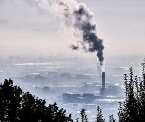 Más de 100 países prometen frenar la deforestación