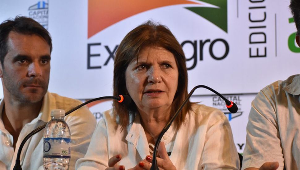 Bullrich: “Sacando todas las retenciones, el campo crecerá un 38%” • Diario  Democracia