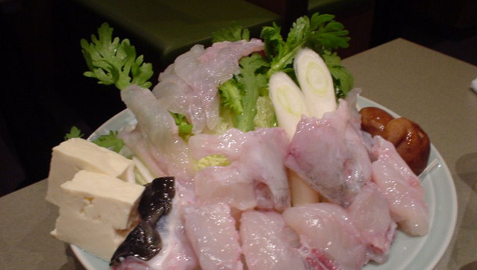 El pez globo, un placer para los japoneses que puede ser mortal • Diario  Democracia
