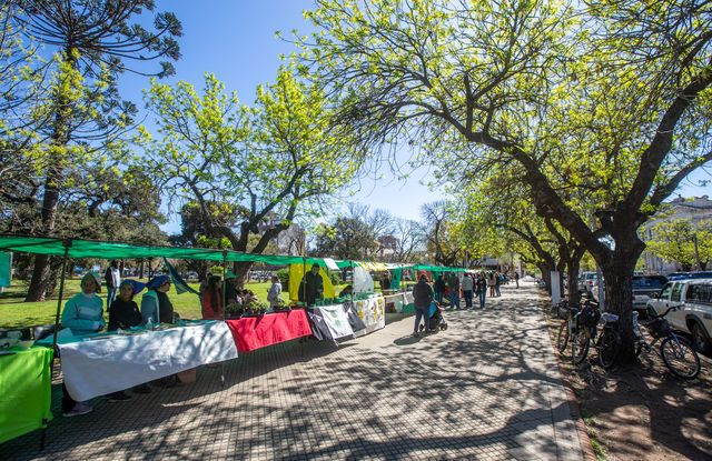 La feria "Encuentro Verde" celebra su octavo aniversario