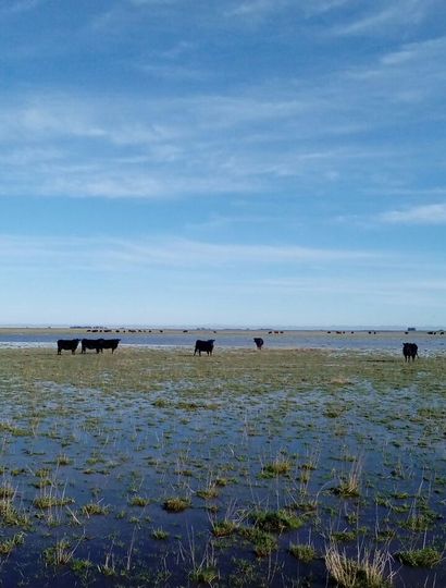 Dicen que la Ley de emergencia es insuficiente para afrontar las inundaciones