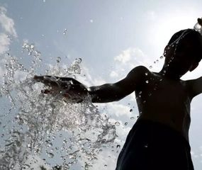Calentamiento global: se atribuye el 37% de las muertes a los días más calurosos