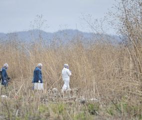 El cuerpo hallado en Palpalá es de la joven Iara Rueda