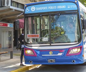 ¿Quiénes tienen que sacar el certificado de circulación?