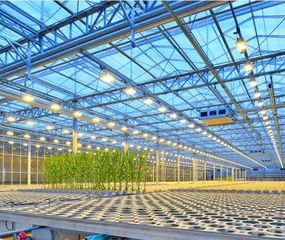 El camino de Bayer para alcanzar un sistema alimentario sostenible