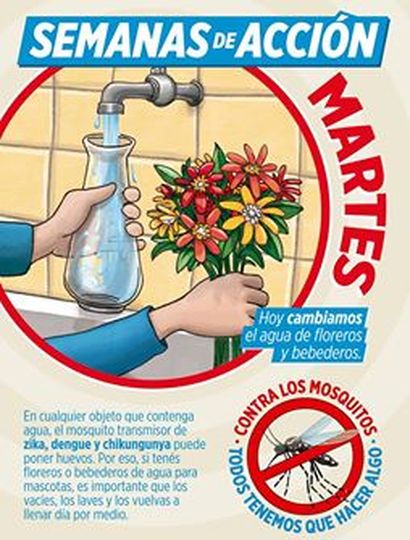 "Semanas de acción" contra el dengue