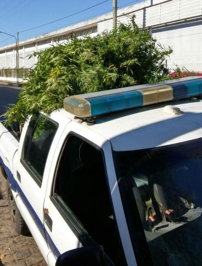 Secuestraron 6 kilogramos de marihuana en Junín