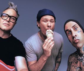 Lollapalooza: Blink 182 será baja y no participará del evento