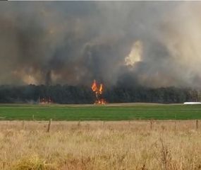 Un monte de unas 50 hectáreas se incendia en Morse