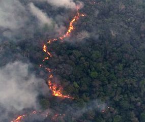 Declaran emergencia ambiental por los incendios