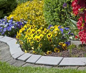 Llegó el mes para poner a punto el jardín