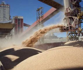 Dólar soja: productores aclaran que hay pocos granos y que es un beneficio para exportadores