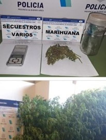 Marihuana y otros elementos secuestrados en una vivienda de avenida La Plata.