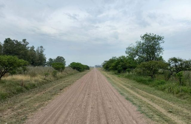 El Municipio de Rojas invierte más de 400 millones de pesos para mejorar los caminos rurales
