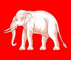 Elefante blanco