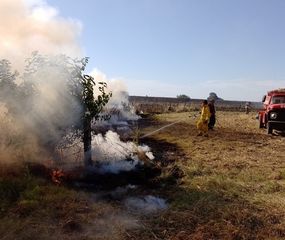Más de 15 incendios de pastizales en dos días