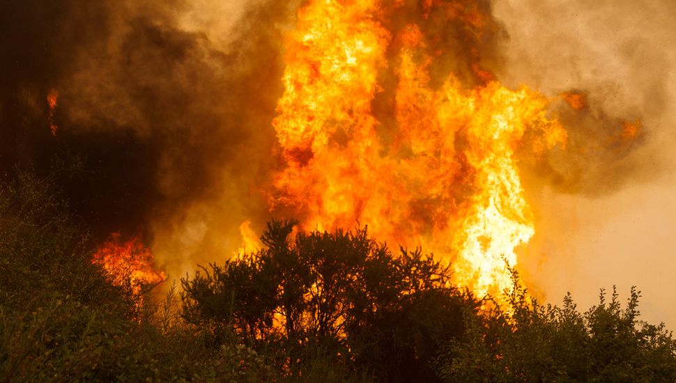 Noticias Sobre Incendios En Argentina Diario Democracia