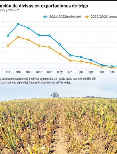 Estrés hídrico, la pesadilla del campo que afecta a todo el sector productivo