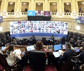 El Senado avaló los decretos vinculados con la pandemia