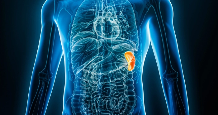 El 10% de la población argentina presenta alguna complicación renal