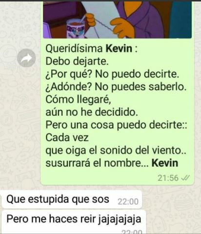 Dejo A Su Novio Por Whatsapp Usando Memes De Los Simpson Y El Chat Se Volvio Viral Diario Democracia